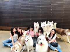 -TrueLove @ Neverland (Husky Cafe)