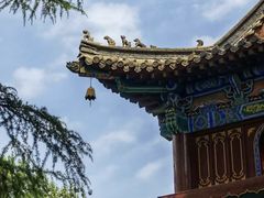 -洛阳白马寺