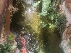 -聚缘堂·海鲜私房菜(松岭路店)