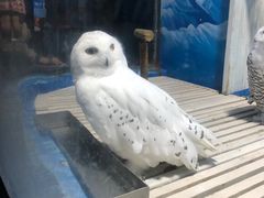 -成都浩海立方海洋公园