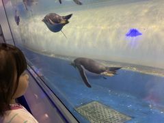 -大连圣亚海洋世界
