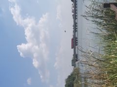 -南湖湿地公园