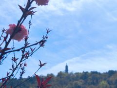 -苏州上方山国家森林公园