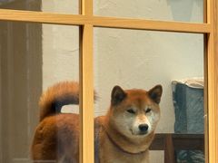 -三目仓咖啡(贤南路店)