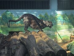 -昆明动物园