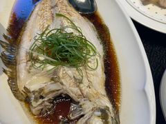 -正德楼果木烤鸭·渔家菜(东港店)