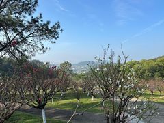 -广州莲花山旅游区