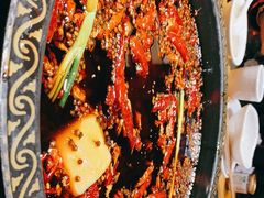 -一斗火锅·招财羊毛肚(泰吉滨江店)