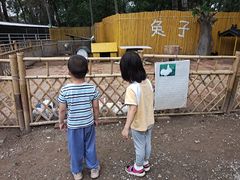 -1982农场
