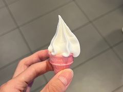 -麦当劳(石家庄北国店)