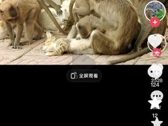 -昆明动物园