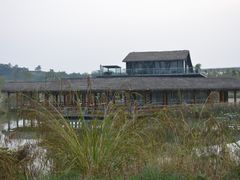 -白鹭湾湿地公园