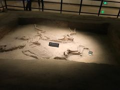 -洛阳周王城天子驾六博物馆