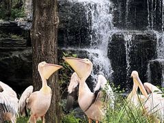 -北京野生动物园