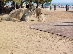 -老虎石海上公园