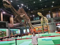 -国家自然博物馆