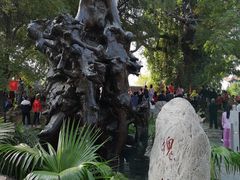 -大槐树寻根祭祖园