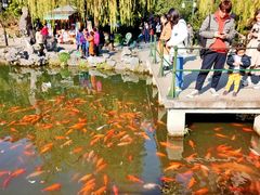 -西湖外事游船(花港观鱼码头)