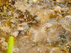 -石锅苗苗鱼(武汉首店)