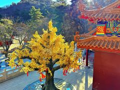 -青岩寺风景区