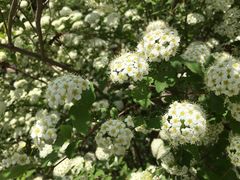 -长春公园(普阳街道)