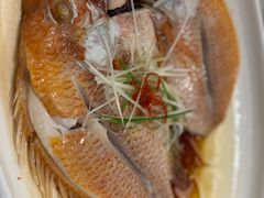 -华盛丰温州大排档(东三环南路店)