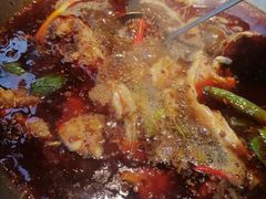 -蜀滋香鲜鱼美蛙火锅(339店)
