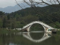 -田野绿世界