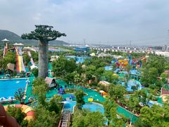 -苏州乐园森林水世界