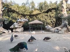 -南昌动物园
