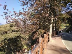 -广州市石门国家森林公园