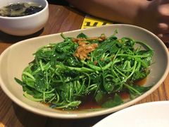-MR鹅外