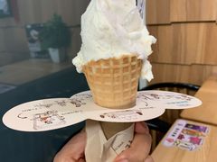 -野人先生现做冰淇淋(北京顺义祥云小镇店)