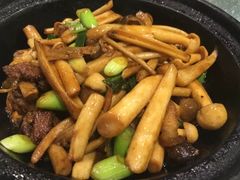 -石头咕(葵蓬店)