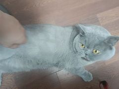 -涿掌柜·涿州宴