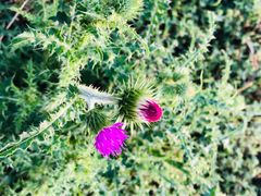 -汉长安城未央宫国家考古遗址公园