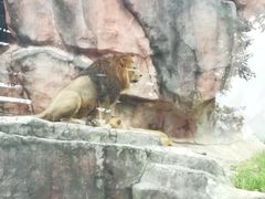 -无锡动物园·太湖欢乐园