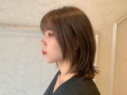 点击看大图 -金棕榈