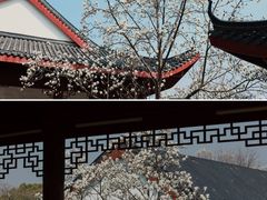 -堤角公园