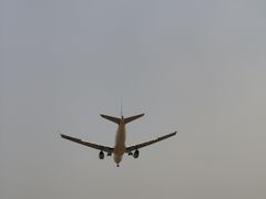 -空港花田景区
