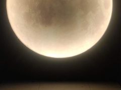 -深圳独角兽星空艺术馆