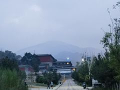 -和雅集素食(景区店)