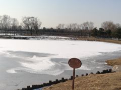 -大兴滨河森林公园