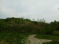 -南山风景名胜区