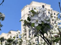 -成都仁和新城购物中心