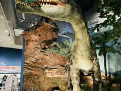 -湖南省地质博物馆