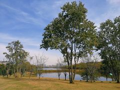 -盘龙城国家考古遗址公园