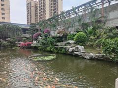 -桃园盛宴·岭南粤菜·手工茶点(南庄店)