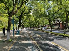 -岳麓山风景名胜区