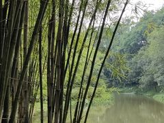 -大屏嶂森林公园